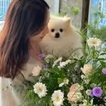 inside.pida 프로필 사진