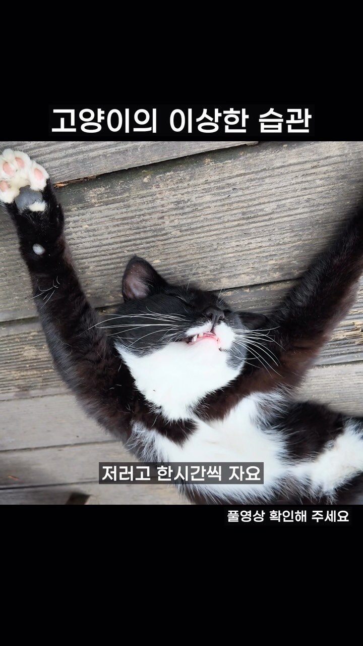 golden_sang_ 게시물 이미지: 맛도 있고 고양이도 있고
📍곰골식당
충남 공주시 반죽동 338

#공주 #여행...