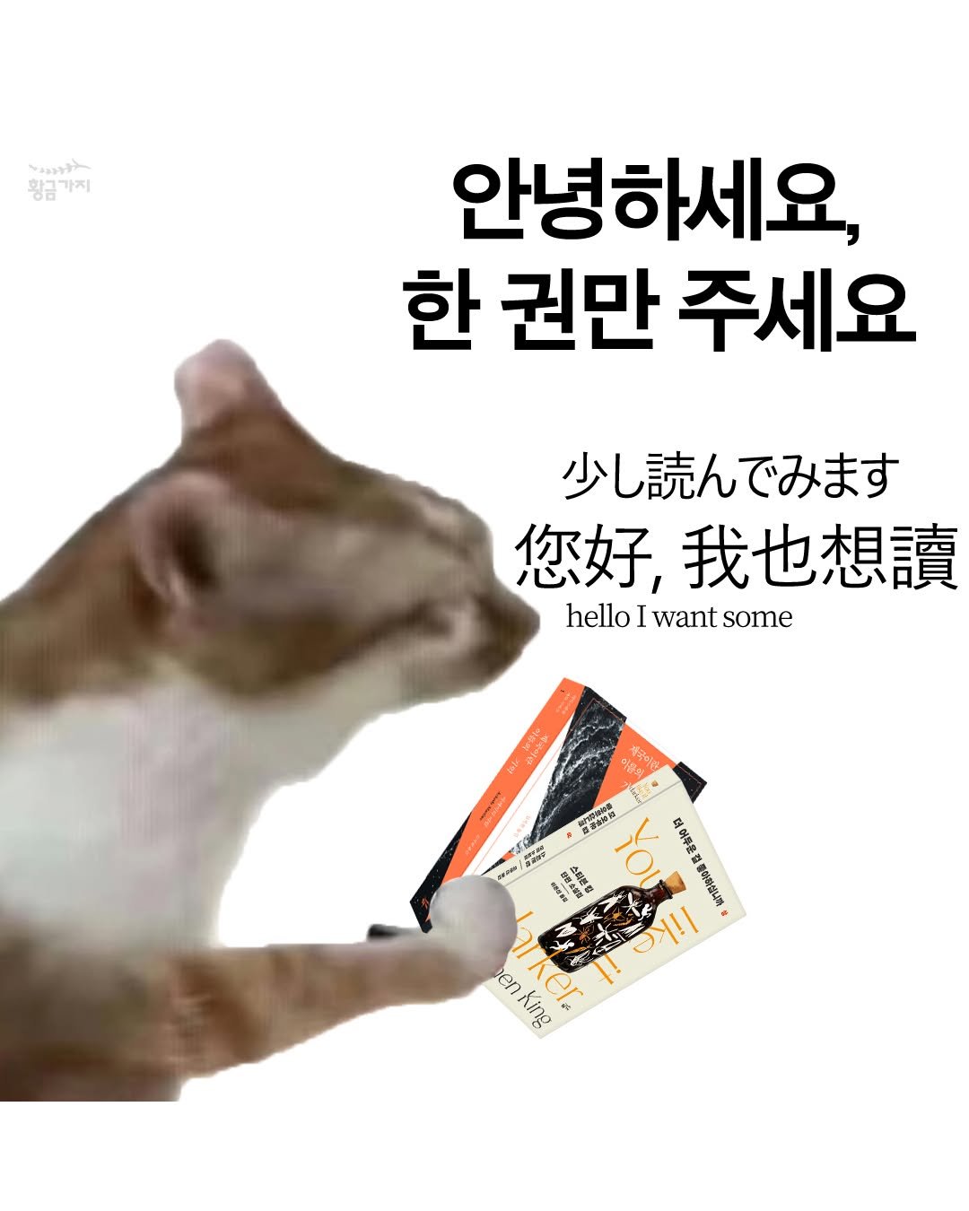 Photo by 황금가지 on August 05, 2025. May be an image of animal, pie, card and text.
