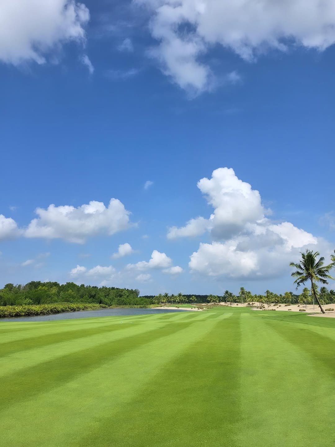 golfer_apro 게시물 이미지: 말레이시아 🇲🇾 골프여행 / 포레스트 시티 골프 리조트

말레이시아 조호바루...