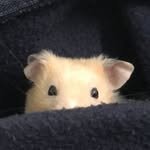hyeondx 프로필 사진