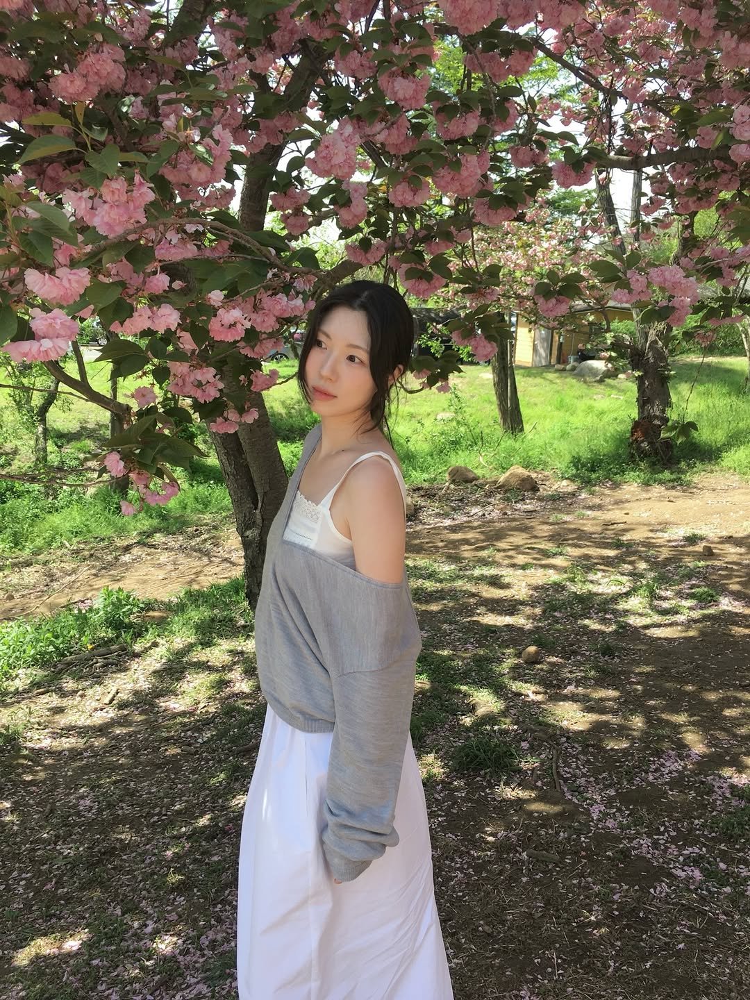 Photo shared by 곰송이 Songyi Moon on April 23, 2026 tagging @ncssry_official, and @hanad.kr. May be an image of stone-fruit tree and text.