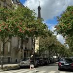 raaanii_o 프로필 사진