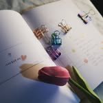 anniecannon_with_u 프로필 사진