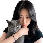 zipbonyang 프로필 사진