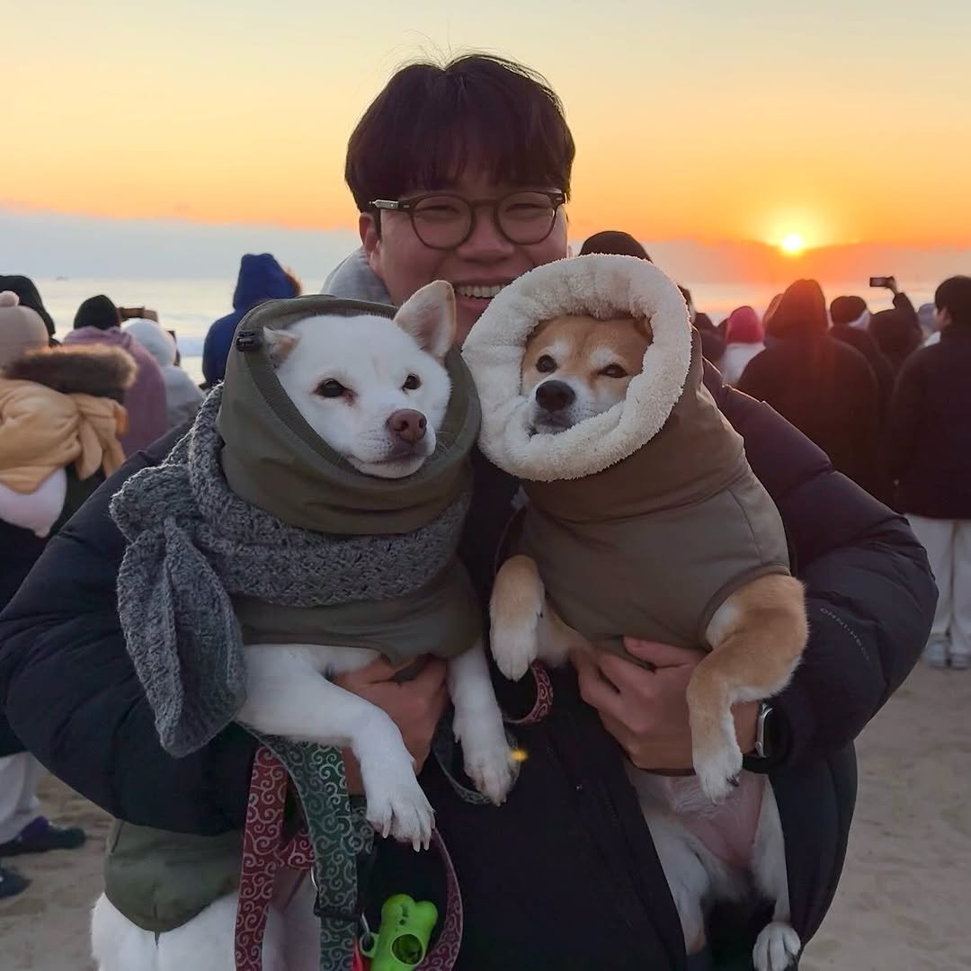Photo by 이공삼 on December 31, 2025. May be an image of Pekinese, Norwich terrier, beach and text.