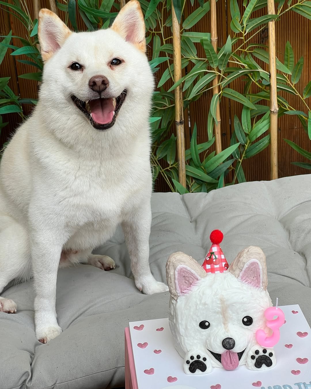 Photo by 이공삼 on September 07, 2024.