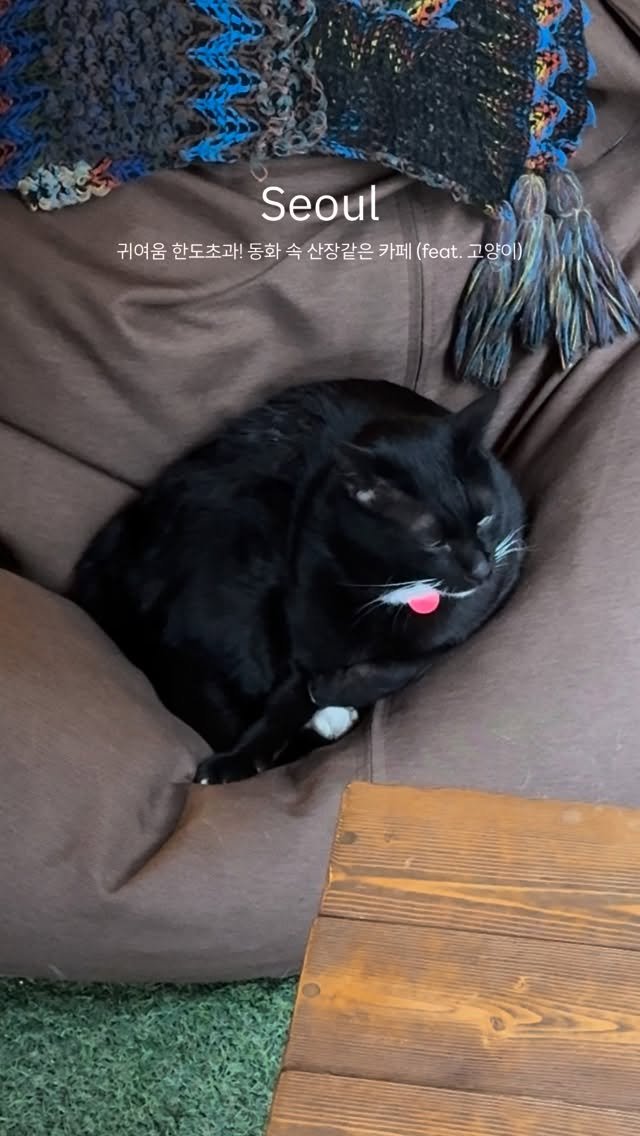 gonguni 게시물 이미지: 동화 속 산장 같은 인테리어에 귀여운 거 가득인 카페♥️ #잠시 
여기 안귀여운게...