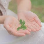 lunayum_ 프로필 사진