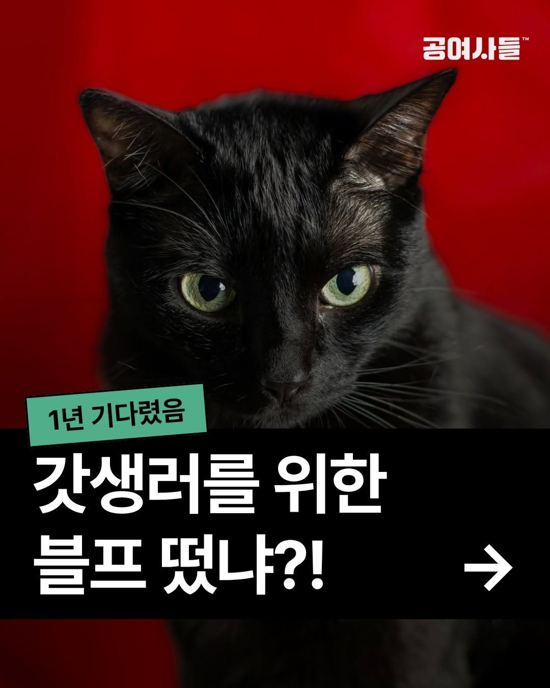 gongysd 게시물 이미지: "벌써 1년 다 갔는데, 나 뭐 한거지?" 😭

2025년에 달라지겠다고...