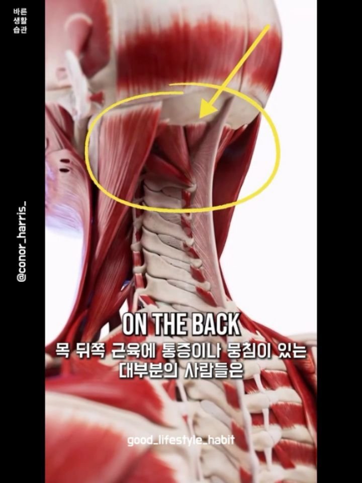 good_lifestyle_habit 게시물 이미지: Great post by @conor_harris_ (thank you)

미리...