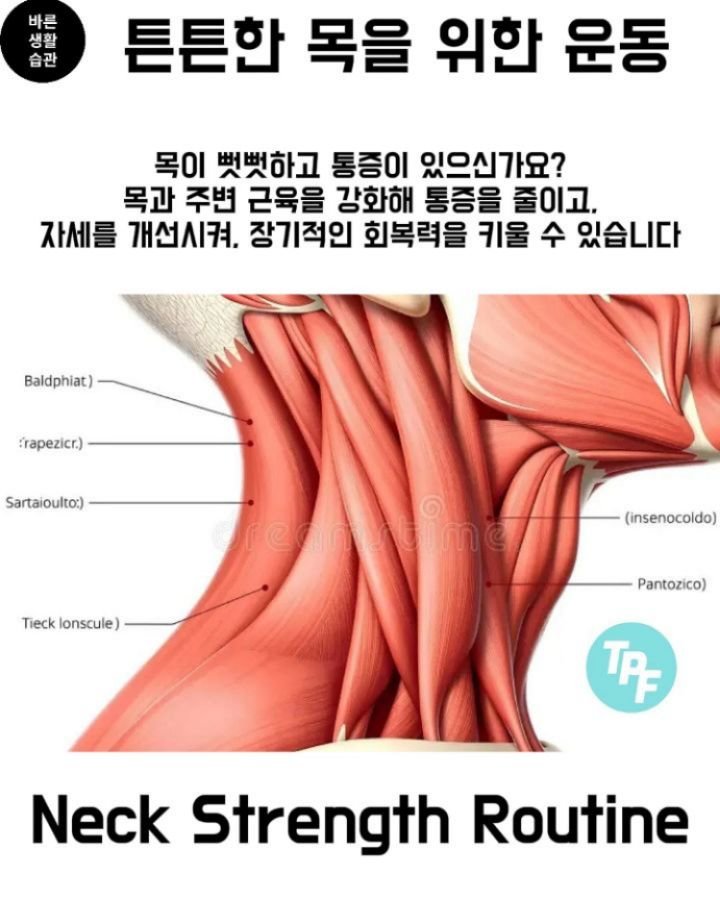 good_lifestyle_habit 게시물 이미지: Great post by @thephysiofix (thank you)

💪...