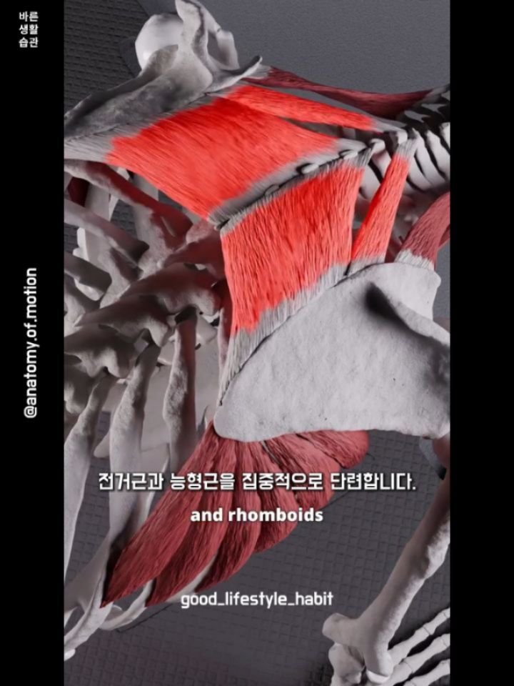 good_lifestyle_habit 게시물 이미지: Great post by @anatomy.of.motion @gabosaturno...