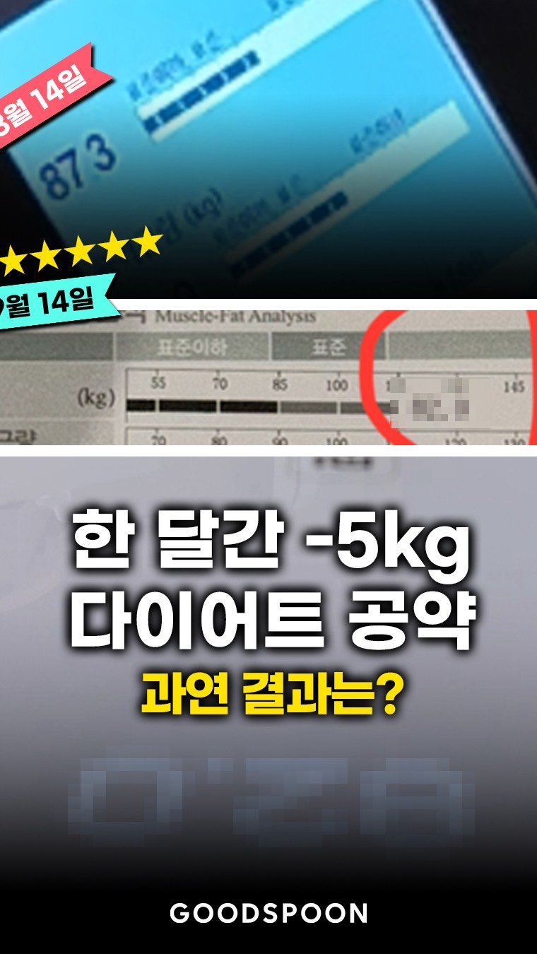 goodspoon_official 게시물 이미지: 8월 14일 시작된 다이어트 공약
한 달 동안 -5kg 감량

과연 결과는?

만약...