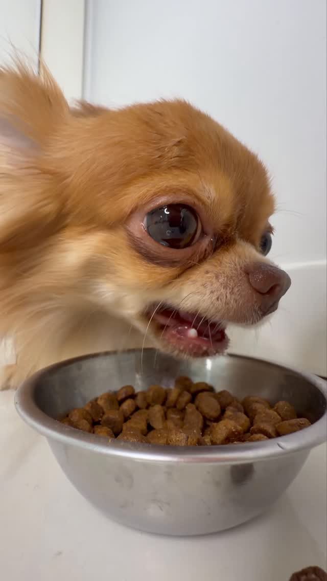 gorilfaruk 게시물 이미지: sonu güzel bitti