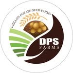 dhillon_potato_seed_farm 프로필 사진