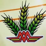mohindra_samana 프로필 사진