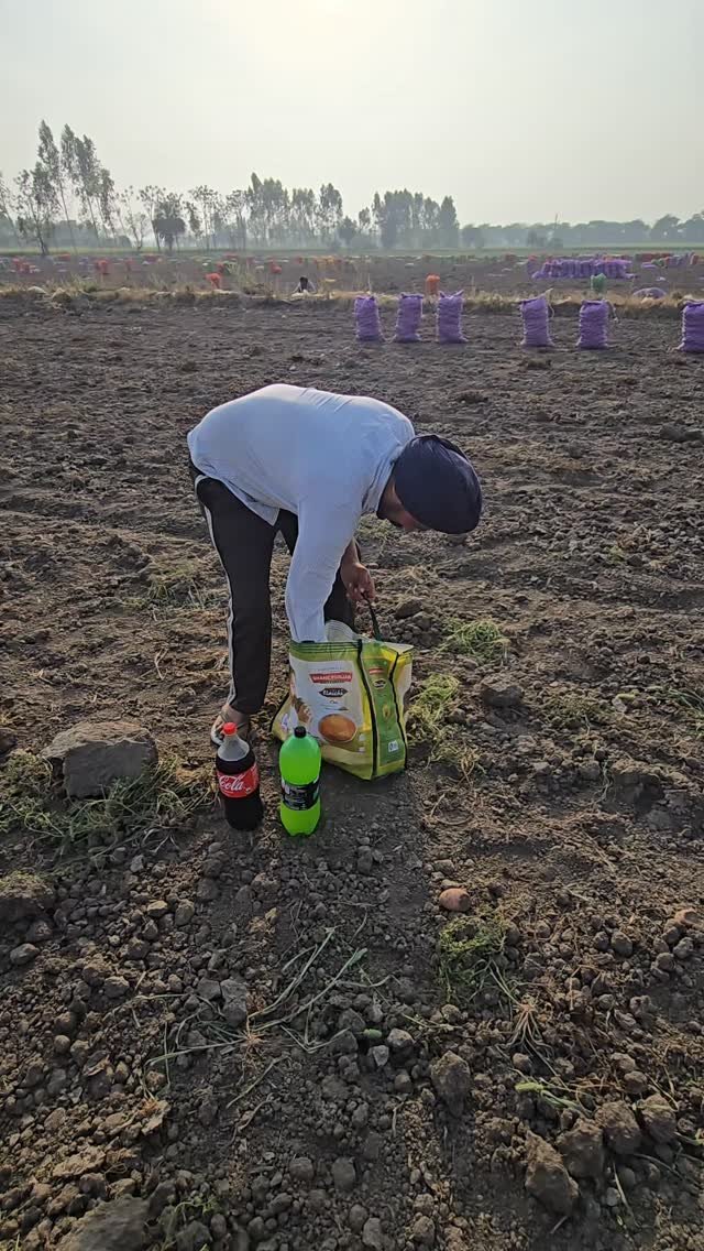 gosal_agro_farm 게시물 이미지: 