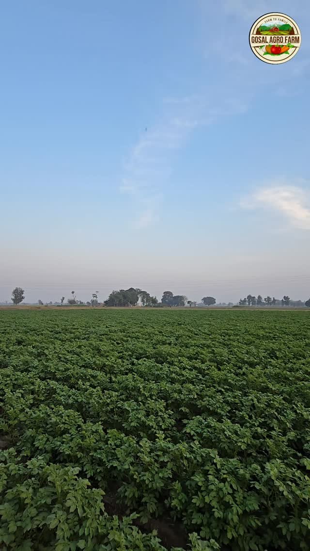 gosal_agro_farm 게시물 이미지: #🙏