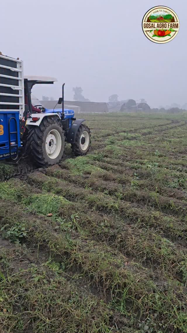 gosal_agro_farm 게시물 이미지: #khetibadi🌱🌾 #holland #5620wale #4x4 #carrot🥕