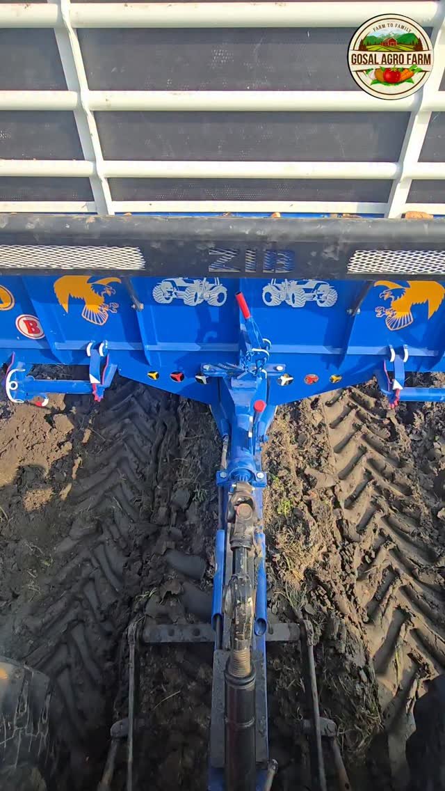 gosal_agro_farm 게시물 이미지: #khetibadi🌱🌾 #johandear 5405 #johandear 5050d...