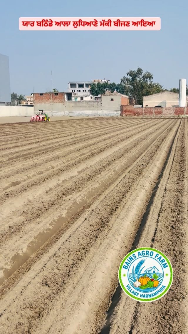 gosal_agro_farm 게시물 이미지: #pindawalejatt #khetibadi🌱🌾 #trend #instagram #facebook