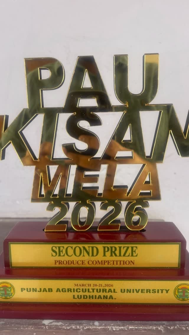 gosal_agro_farm 게시물 이미지: #trending #instadaily #instagram #viralreels #facebook