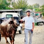 ghuman_farm2024 프로필 사진