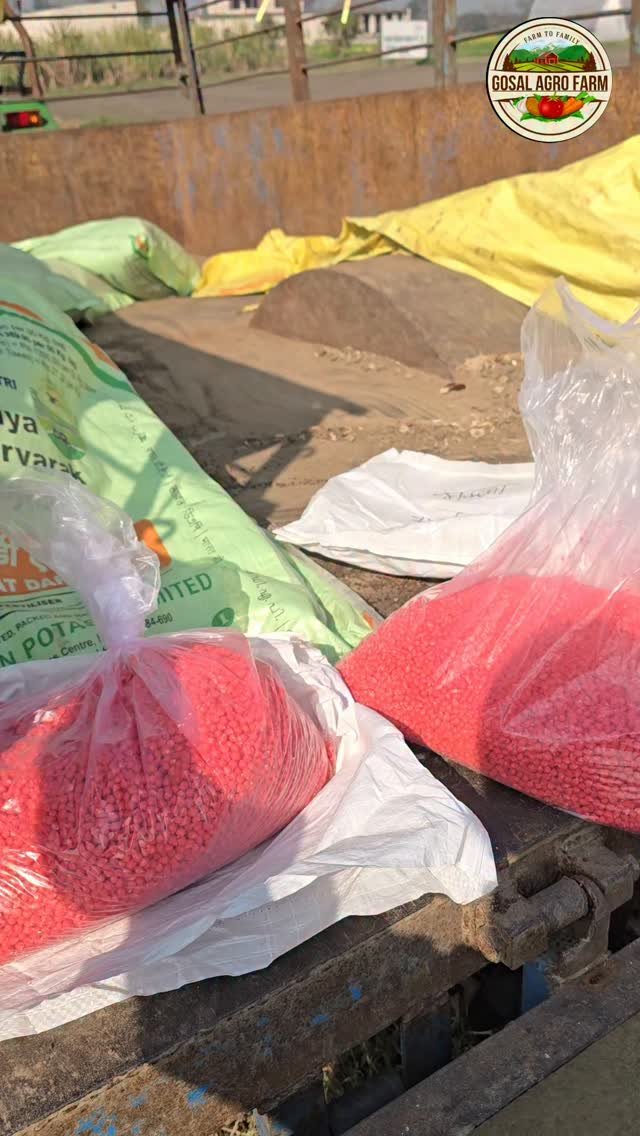 gosal_agro_farm 게시물 이미지: #khetibadi🌱🌾