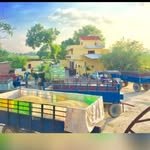 sandhu_farm17 프로필 사진