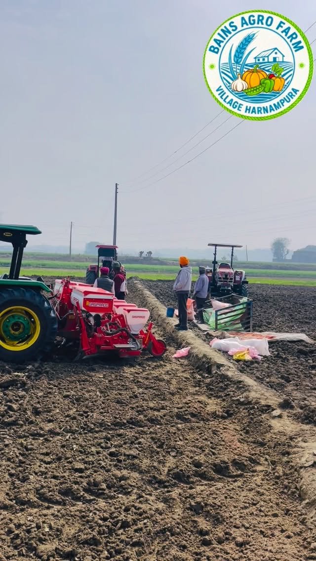 gosal_agro_farm 게시물 이미지: #popcorn #virals #reelsviral...