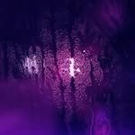 hongsuzu 프로필 사진