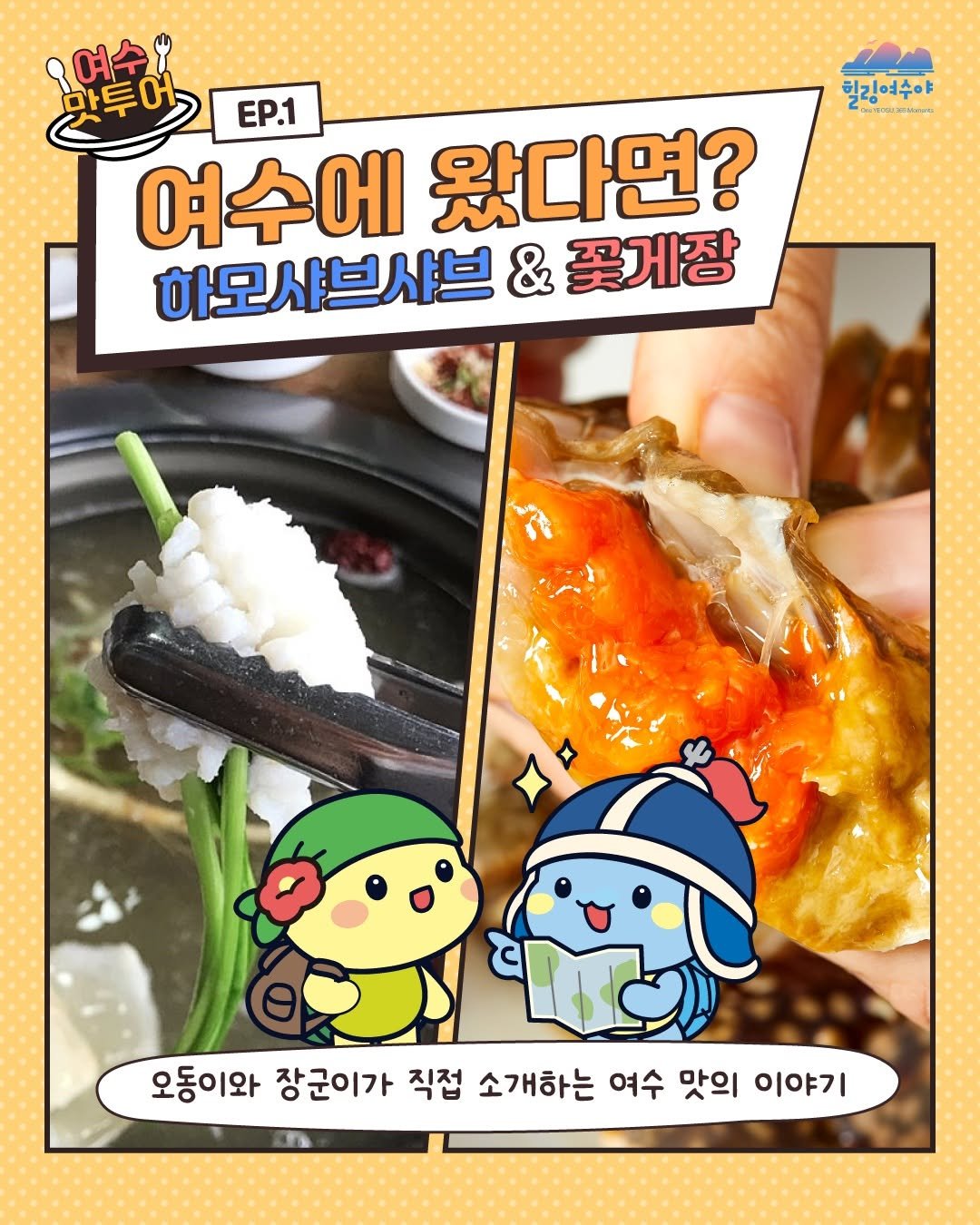 goystour 게시물 이미지: 여수에 왔다면 꼭 맛봐야 할 두 가지! 😋
오동이와 장군이가 직접 소개하는 여수...
