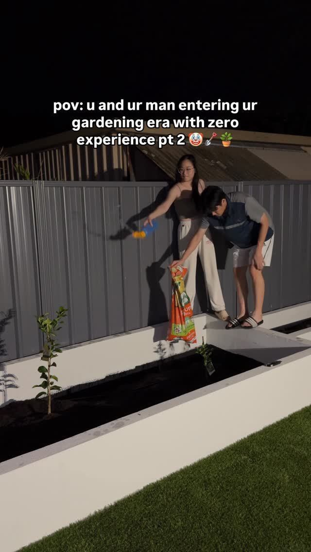 gracetanxh 게시물 이미지: 4 more packets of potting mix at AT NIGHT so...