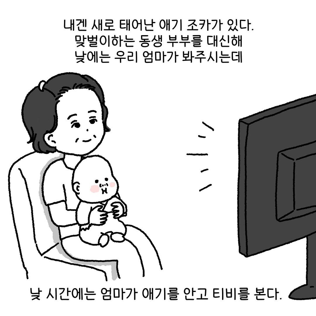 Photo by Hyewon teacher on July 19, 2025. May be an illustration of pie and text that says '내겐 새로 태어난 애기 조카가 있다. 맞벌이하는 이하는 동생 부부를 대신해 맞벌 낮에는 우리 엄마가 봐주시는데 낮 시간에는 엄마가 애기를 안고 티비를 본다.'.