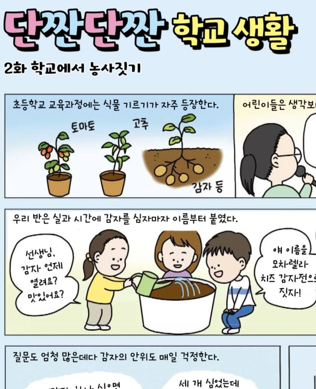 Photo by Hyewon teacher on August 23, 2025. May be a doodle of vegetable, seedling and text that says '단깐단짠 학교 생활 2화 학교에서 농사짓기 초등학교 교육과정에는 식물 기르기가자주 등장한다. 기르기가 토마토 고추 어린이들은 생각보 감자등 등 우리 반은 실과 시간에 감자를 심자마자 이름부터 붙였다. 선생님. 감자 언제 열려요? 맛있어요? 얘 이름을 모차렐라 치즈 감자전으로 짓자! 질문도 엄청 많은데다 감자의 안위도 매일 걱정한다. ု !1시으며 시며 세 개 심었는데'.