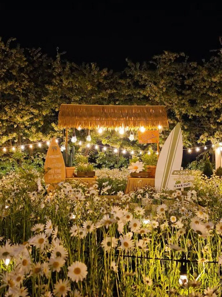 graphygarden 게시물 이미지: 밤에도 너무 예쁜 사진정원💕
샤스타데이지 만개 했어요.🌼

바람 살랑살랑 부는...