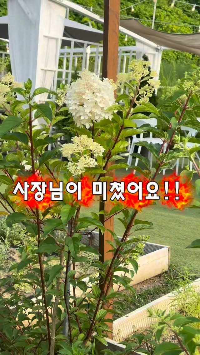 graphygarden 게시물 이미지: 🍧7월 랜덤 디저트 뽑기 이벤트 진행 중🍰

✔️ 한 팀당 1회 참여 가능...