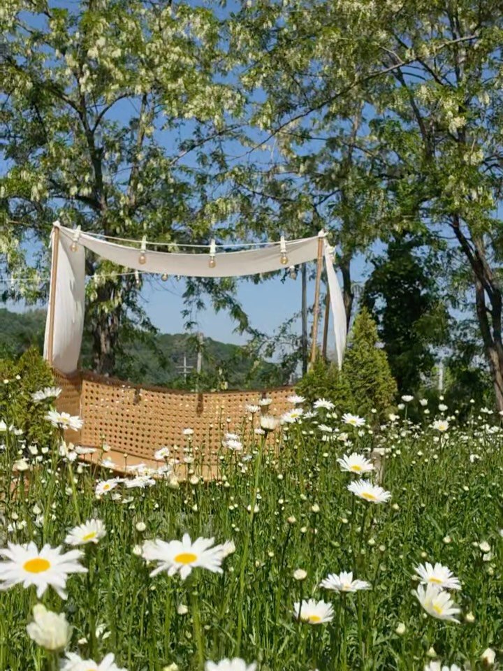 graphygarden 게시물 이미지: 아카시아 향도 가득하고 데이지도 핀 요즘🌼
눈으로는 꽃 보고 코로는 봄 맡고...