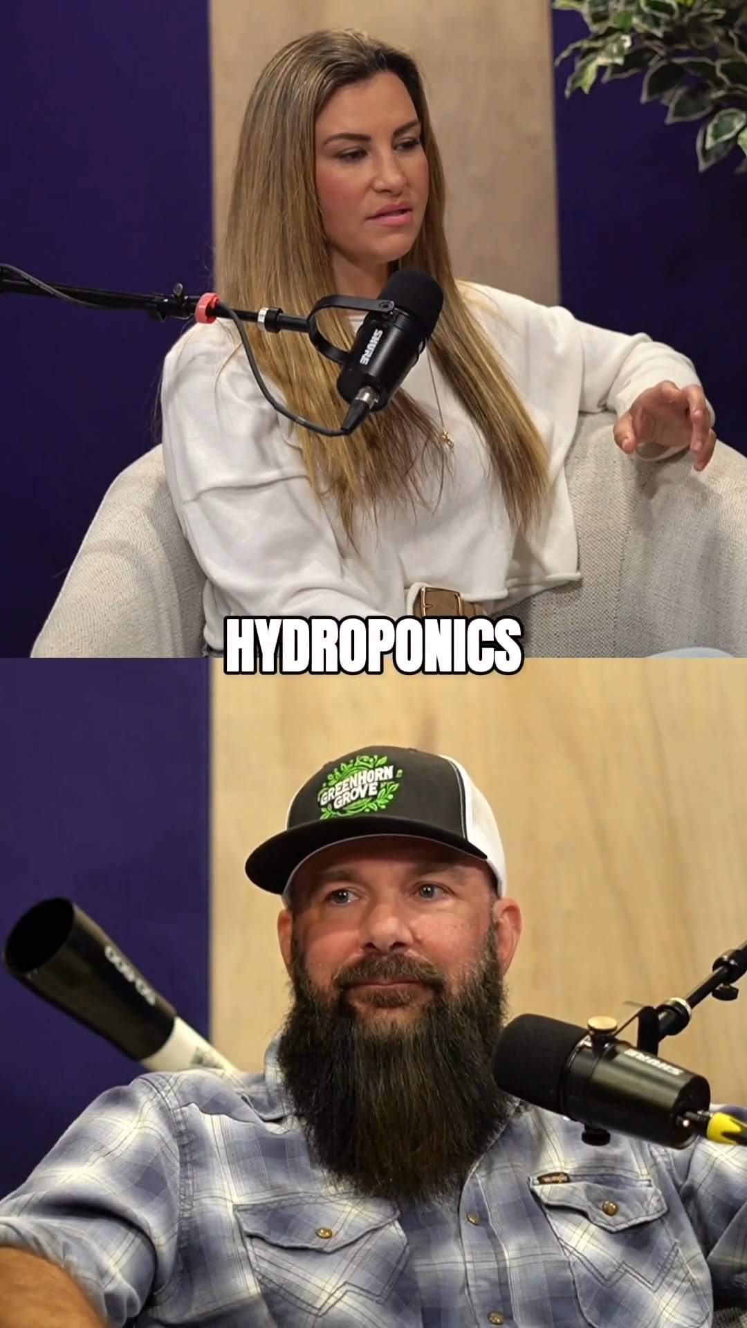 greenhorngrove 게시물 이미지: Ever wondered how plants grow without soil?...