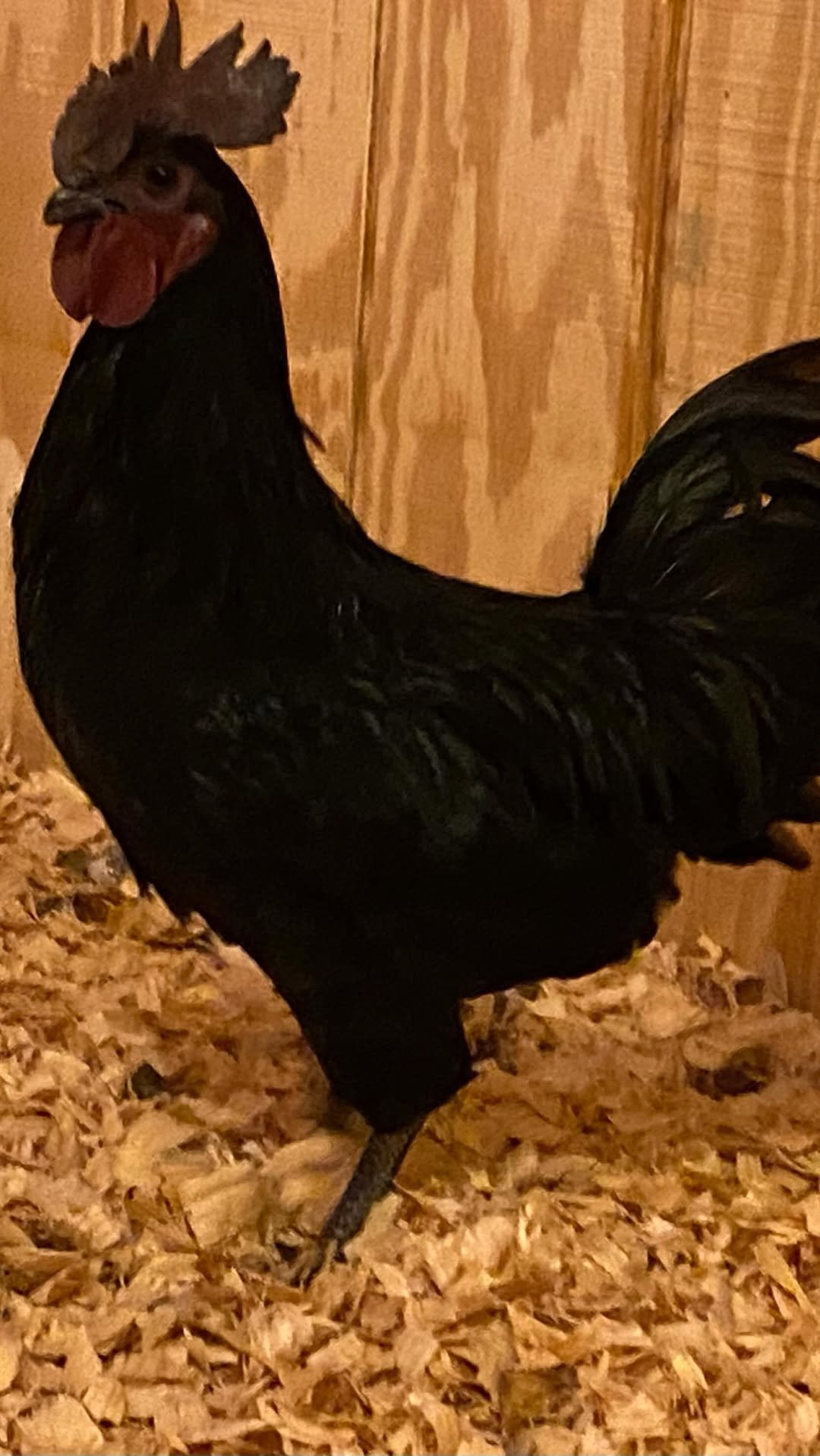 greenhorngrove 게시물 이미지: Get out there and find your people. Special...