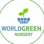 worldgreen.nursery 프로필 사진