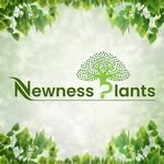 newness_plant 프로필 사진