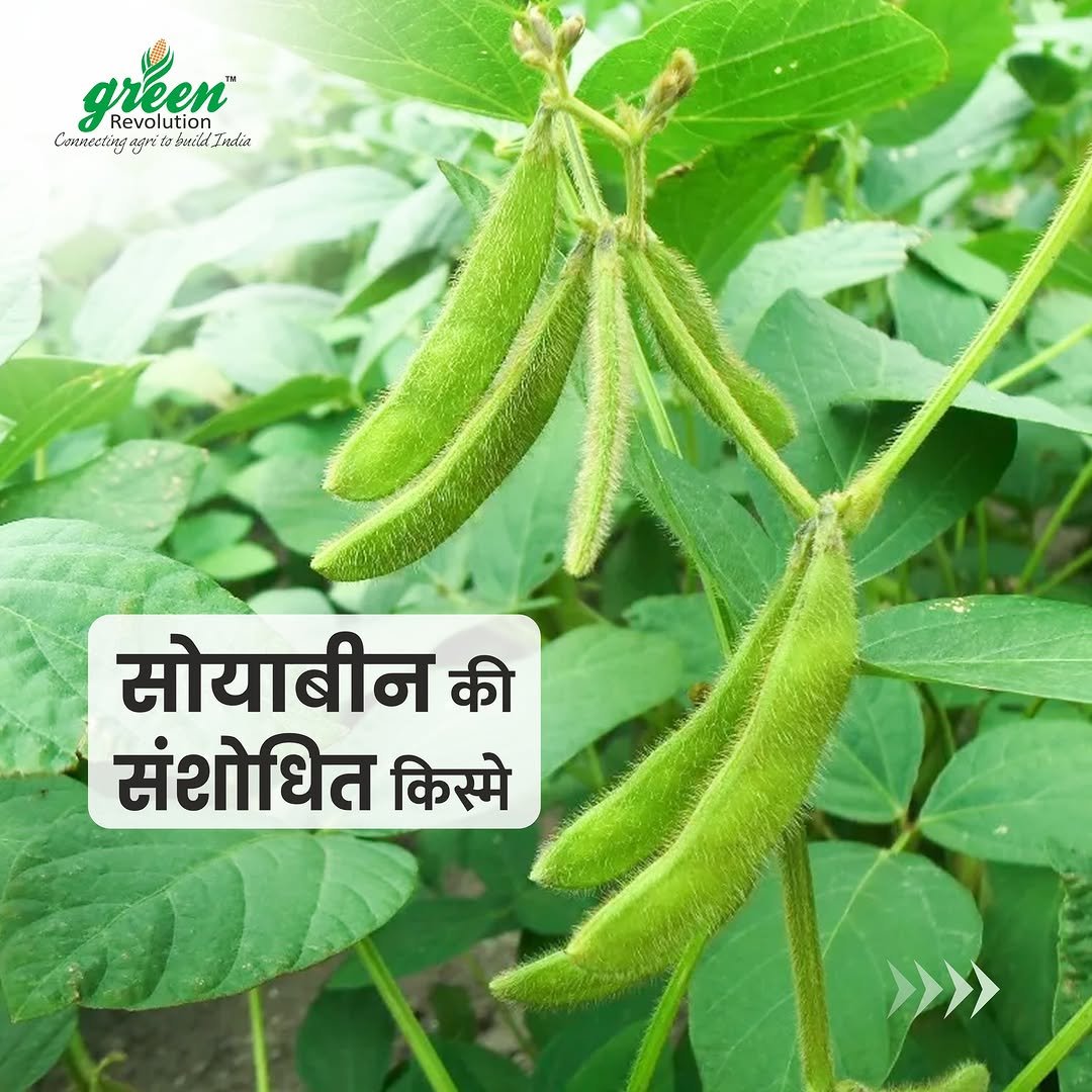greenrevolution87 게시물 이미지: इस सीजन में आप भी सोयाबीन की खेती करने वाले है...