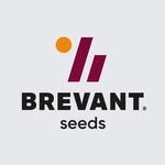 brevantseeds_us 프로필 사진