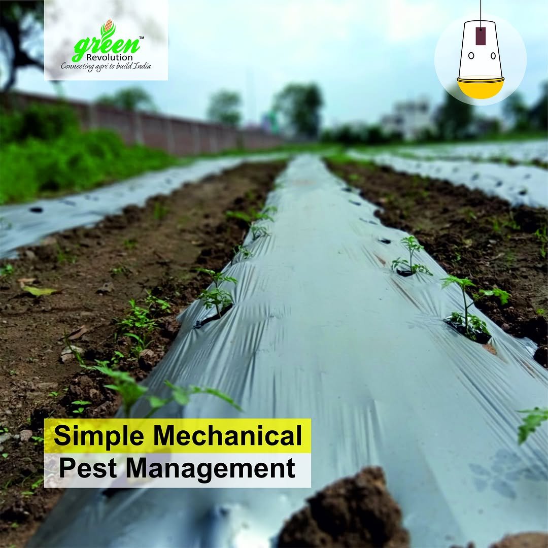 greenrevolution87 게시물 이미지: Lets know simple method of #mechanical #pest...