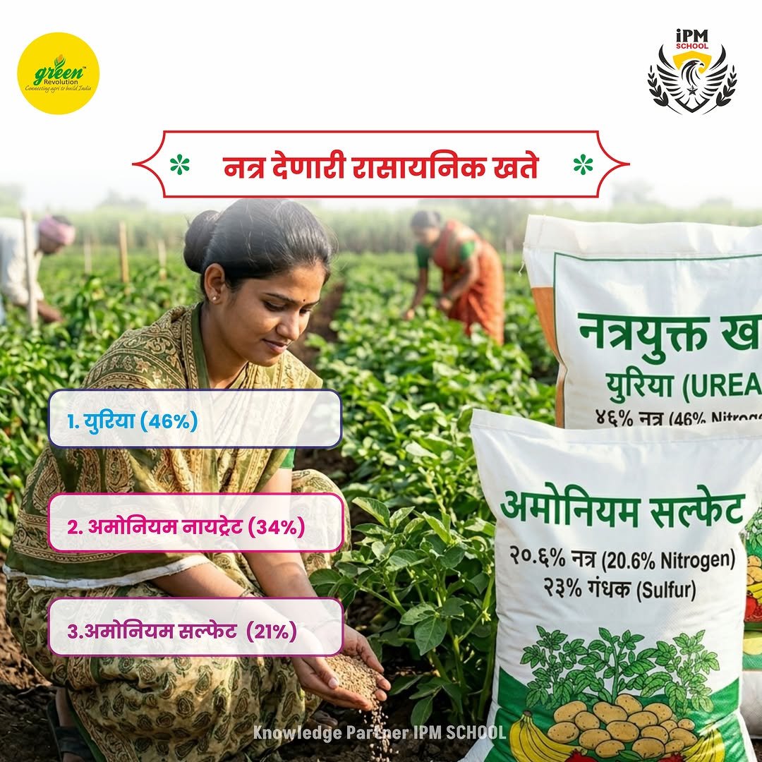 greenrevolution87 게시물 이미지: समजून घेऊया.. 
नत्र स्फुरद पालाश पुरवणारी...