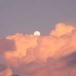 makeup_.doha 프로필 사진