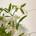 c__onte 프로필 사진