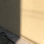 simio_clothes 프로필 사진